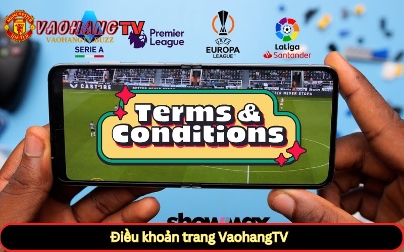 Điều khoản trang VaohangTV